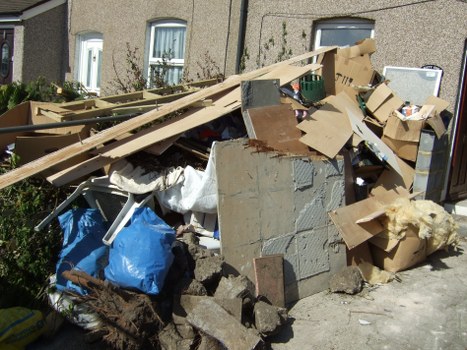 Professional team performing garden clearance in Tottenham